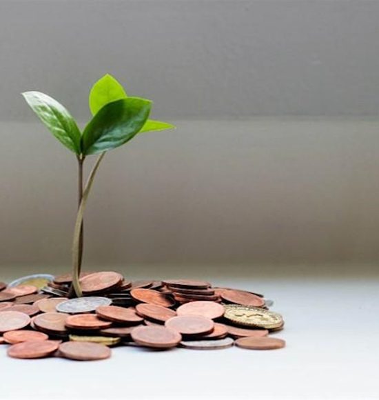 Financial Responsibilities Webinar – Board Development Program